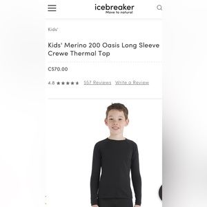 Icebreaker Merino 200 Oasis Long sleeve Thermal Top